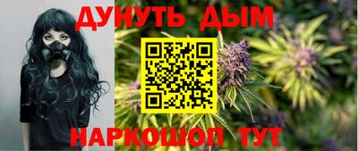прущие грибы Севастополь