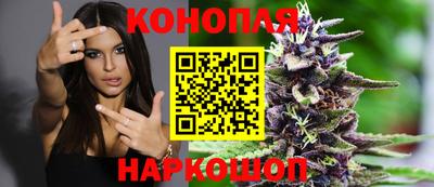 прущие грибы Севастополь