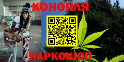 прущие грибы Севастополь