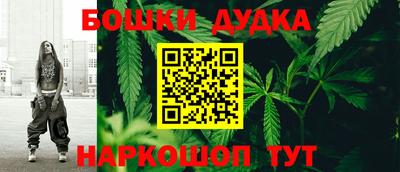 PSILOCYBIN Северобайкальск
