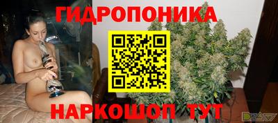 PSILOCYBIN Северобайкальск