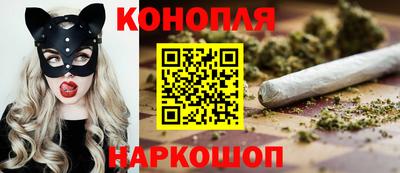 прущие грибы Севастополь